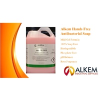 Hands Free Antibacterial Soap 5Ltr